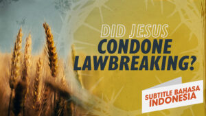 Apakah Yesus Mendukung Pelanggaran Hukum? | Mengapa Yesus? (Did Jesus Condone Lawbreaking? | Why Jesus?)