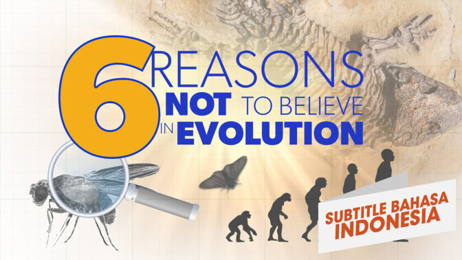 6 Reasons NOT to Believe in Evolution