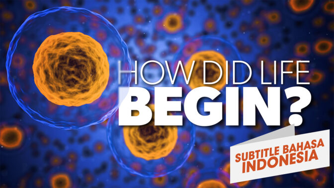 Bagaimana Kehidupan Dimulai? (How Did Life Begin?)