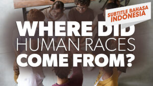 Dari Mana Ras Manusia Berasal? (Where Did Human Races Come From)